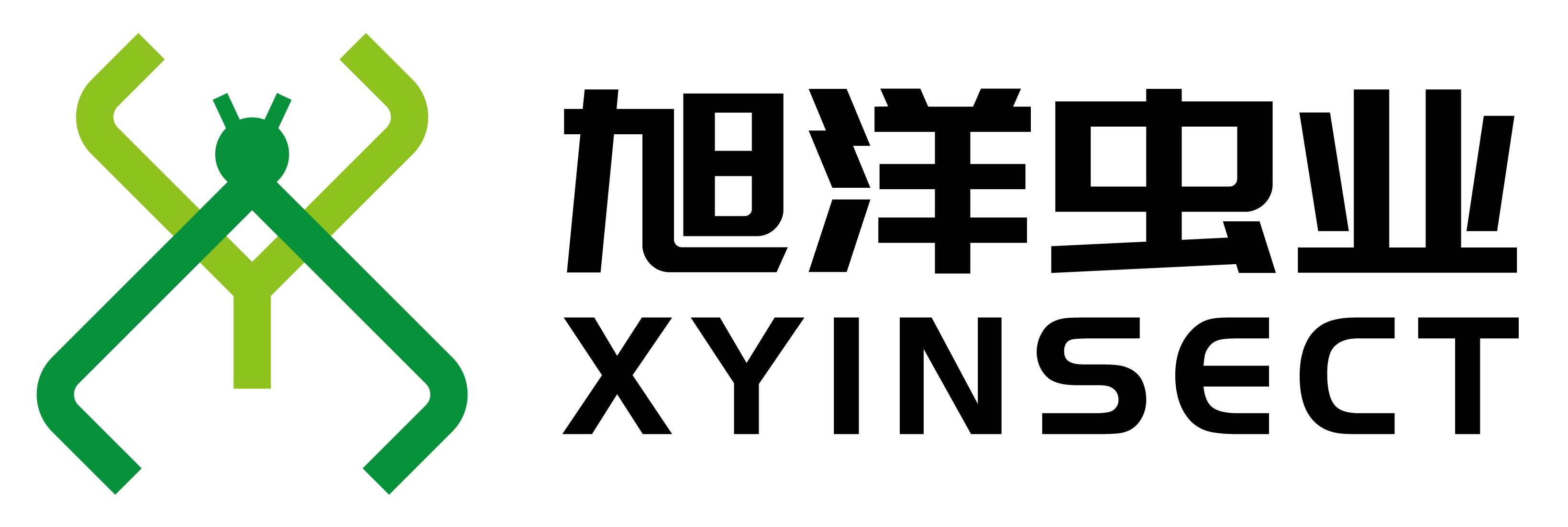 XYINSECT