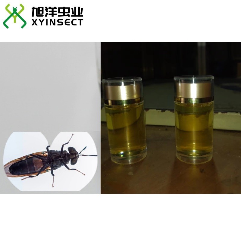 Black Soldier Fly Larvae (BSFL) Oil Feed Grade