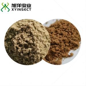 Cricket Protein Cricket Powder Cricket Flour Cricket Meal