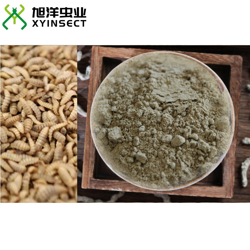 Defatted Black Soldier Fly Larvae Meal BSFL Protein Powder