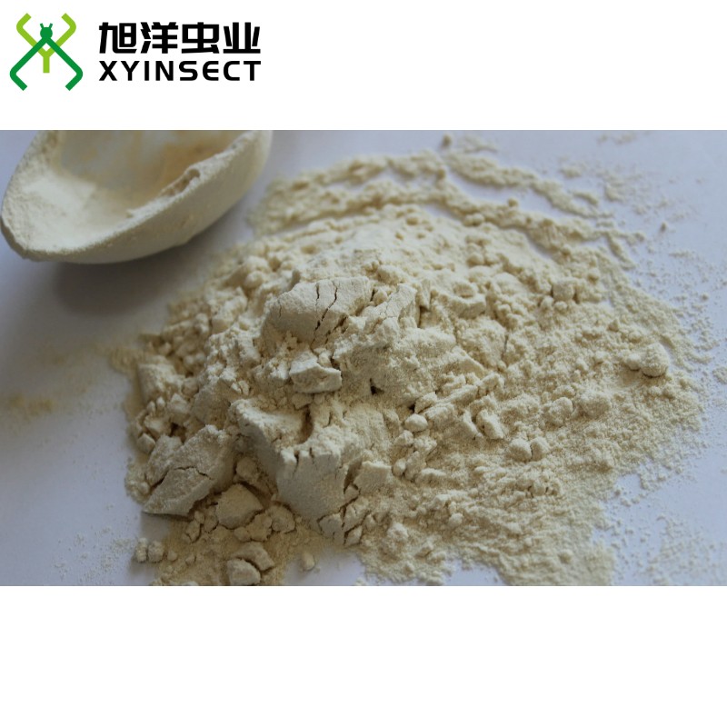 Defatted Superworms Meal Protein Powder Feed Grade