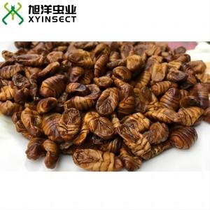 Dried Silkworm Pupae (Whole)