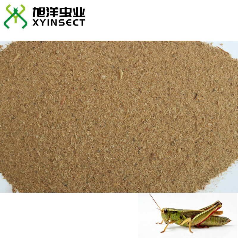 Grasshopper or Locust Meal (Powder) Poultry Feed Pet Foods