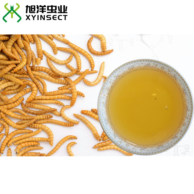 Mealworms Oil Mealworms Lipids