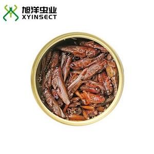 Preserved Grasshopper (Locust) Canned Grasshopper (Locust) for Pets Preserved Grasshopper (Locust) Canned Grasshopper (Locust) for Pets