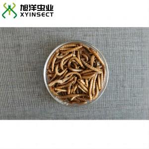 Preserved Mealworms Canned Mealworms Retort Pouch