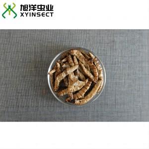 Preserved Superworms Canned Superworms Retort Pouch Preserved Superworms Canned Superworms Retort Pouch