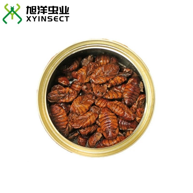 Preserved Silkworm Pupae Reptiles Food Canned Insect