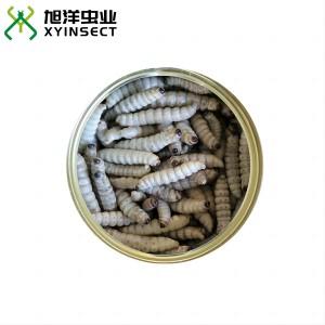 Preserved Wax Worms Reptile Food Fish Baits Canned Insects Retort Pouch Preserved Wax Worms Reptile Food Fish Baits Canned Insects Retort Pouch